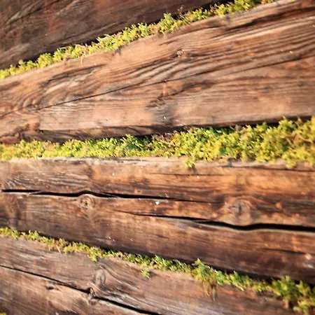 Lejlighed Poetzelberghof Altenmarkt im Pongau