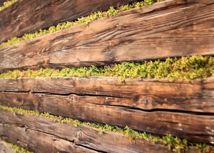 شقة Poetzelberghof التنماركت ام بوناغ